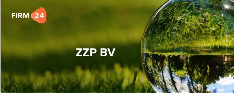 ZZP BV - Onverstandige constructie of slimme fiscale
        truc?